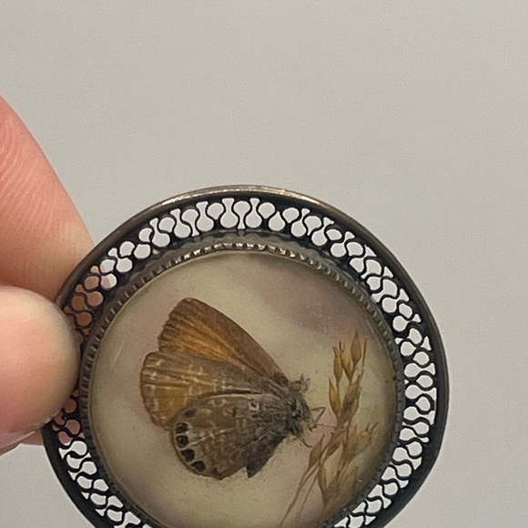 Victorian morpho butterfly wing silver tone filigree round brooch pin vintage - Picture 9 of 16